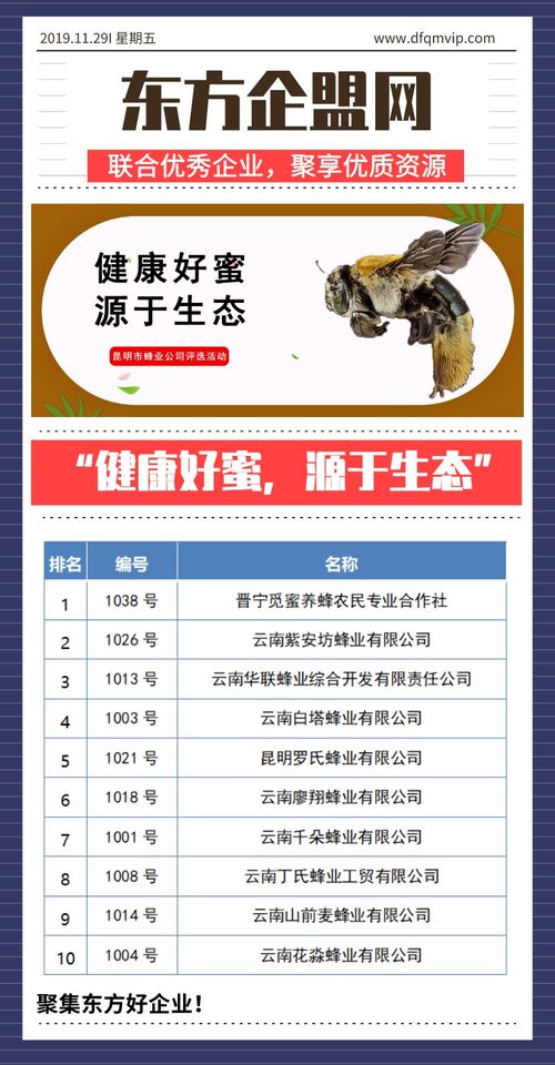 健康好蜜，源于生態——昆明市蜂業公司評選活動信息技術咨詢服務方案